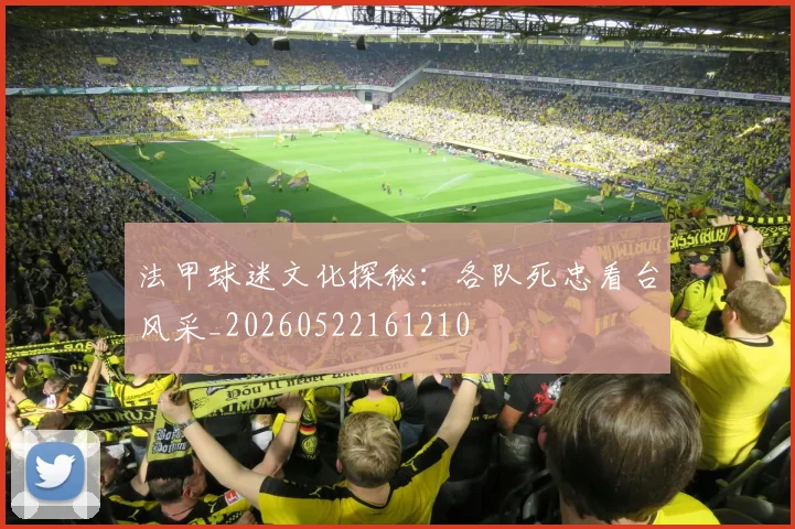 法甲球迷文化探秘：各队死忠看台风采_20260522161210